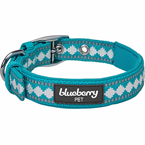 Blueberry Pet Reflective Jacquard Dog Collar with Neoprene Padding & Metal Buckle | Soft & Adjustable Safety Collar - Peacock, Neck 9-12.5", for Small Breed - color: Metal Buckle-Peacock, size: Small