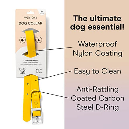 Wild One Dog Collar, Easy-Clean, All Weather Flex-Poly Strap with Metal, Durable, Dirt and Odor Resistant (Butter, M) - color: Butter, size: M