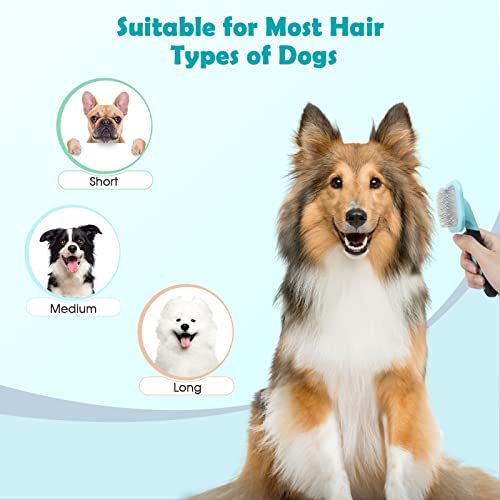 Slicker Brush, Dog Brush Gently Cleaning Pin Brush For Shedding Dog Hair Brush For Small Dogs Puppy Yorkie Poodle Rabbits Cats One Size Blue