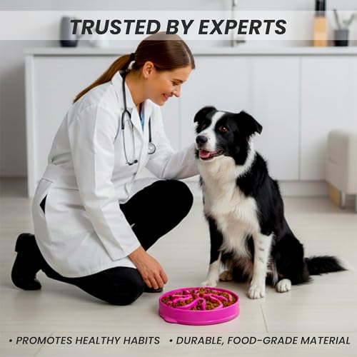 Slow Feeder Dog Bowl for Small, Medium & Large Dogs – Anti-Gulping Puzzle Maze Bowl, Non-Slip Slow Eating Dog Dish, Prevents Bloat & Improves Digestion, Interactive Pet Feeder (Pink, Small) - color: Pink, size: Small