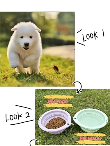Portable Collapsible Pet Bowl - Food Grade TPR/Silicone, Foldable Dog Cat Travel Bowl with Carabiner for Hiking Camping, Easy Clean & Lightweight (Purple) - color: Purple