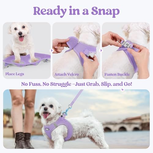 rabbitgoo Dog Harness Small Sized and Leash Set, Step in Soft Light Puppy Vest, Breathable Mesh Pet Harness, Reflective for Safe Easy Walking, Light Purple XXXS - color: Light Purple, size: Xxxs (chest: 10.8 - 11.8")