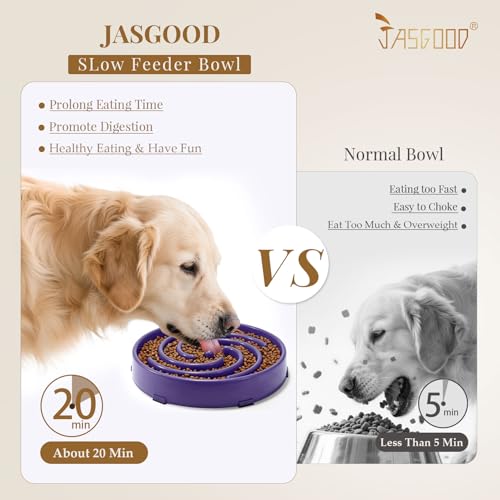 JASGOOD Slow Feeder Bowl for Large Dogs, Anti-Gulping Pet Bowl, Prevents Bloat & Choking - color: N-Taro purple