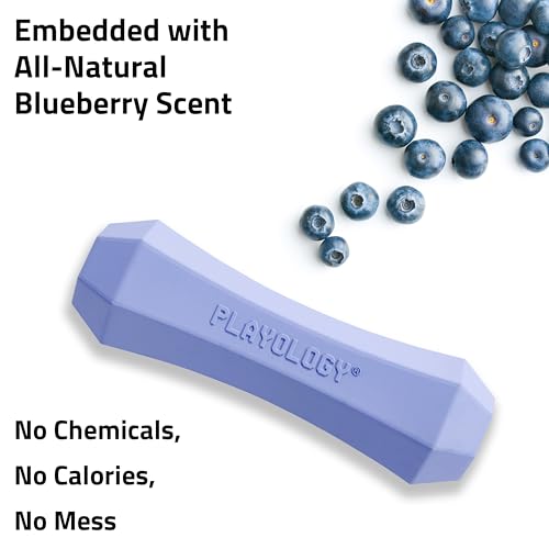 Playology Dog Toys | Squeaky Chew Stick for Large Dogs | Blueberry Scented Jumbo Fetch Toy | Squeaky Dog Chew Toy - size: Jumbo, style: Blueberry