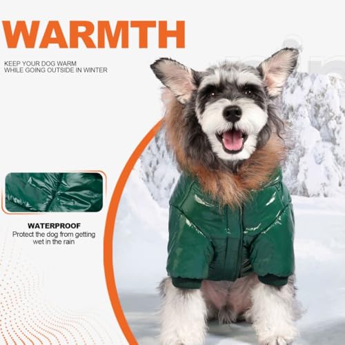 PINA Dog Winter Coat with Large Faux Fur Hood, Windproof and Warm, Suitable for Small to Large Dogs, Green, XXL - color: Green, size: XXL(chest:25.5in)