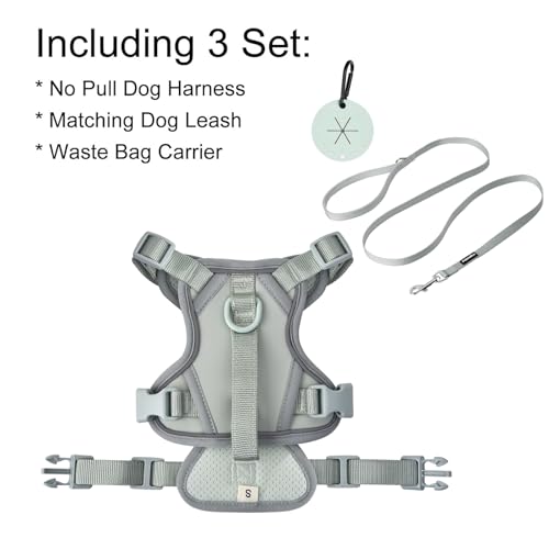 Petmolico No Pull Cute Dog Harness for Small Dogs, with Two Leash Clips and Soft Handle, Reflective Easy Walk Dog Harness- Light Green,Small - color: Light Green, size: Small