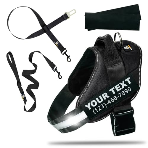 DOGGYKINGDOM Personalized Dog Harness and Leash Set with Seat Belt for Car, No Choke, Reflective, Adjustable Soft Padded Dog Vest Harness with Control Handle for Small Size Dog, Black, S - color: Black, size: S (Chest: 20 - 24 in)
