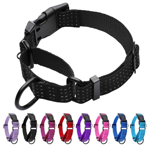 Martingale Dog Collar, Reflective No Pull Training Collar with Quick Release Buckle, Adjustable Heavy Duty Nylon Choker Collars for S M L Dogs (Black, M (1" x 15.5"-19.5")) - color: Black, size: M (1" x 15.5"-19.5")