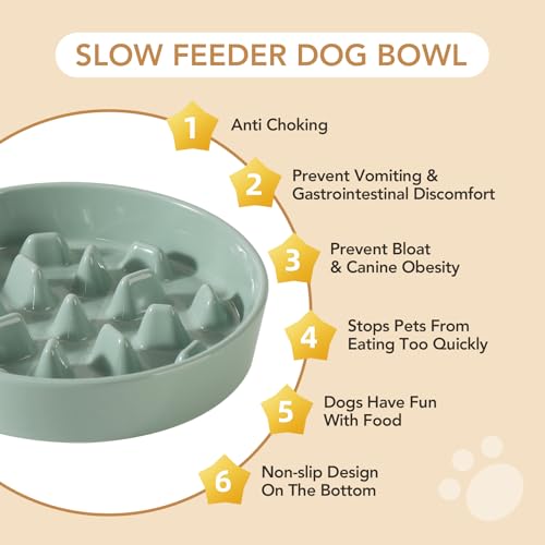 Havniva Ceramic Slow Feeder Dog Bowls, 3.2 Cups Dog Bowl Slow Feeding for Medium and Large Breed, 9.5inch Puzzle Dog Food Bowl Slow Feeder Non-Slip Anti-Gulping and Anti-Choking Reduces Bloating - color: 1 x Light Green-C, size: 9.5inch