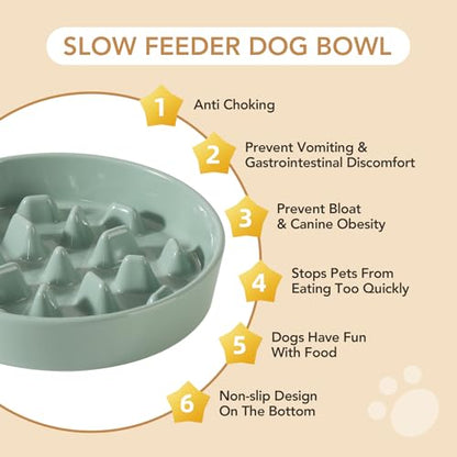 Havniva Ceramic Slow Feeder Dog Bowls, 3.2 Cups Dog Bowl Slow Feeding for Medium and Large Breed, 9.5inch Puzzle Dog Food Bowl Slow Feeder Non-Slip Anti-Gulping and Anti-Choking Reduces Bloating - color: 1 x Light Green-C, size: 9.5inch