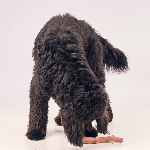 SPOT Bam-Bones Plus Branch -Bamboo Fiber & Nylon, Durable Long Lasting Dog Chew for Aggressive Chewers – Great Toy for Adult Dogs & Teething Puppies Under 90lbs, Non-Splintering, 9.5in, Beef Flavor - size: 9.5 inch (Pack of 1)