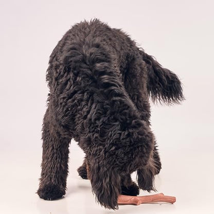SPOT Bam-Bones Plus Branch -Bamboo Fiber & Nylon, Durable Long Lasting Dog Chew for Aggressive Chewers – Great Toy for Adult Dogs & Teething Puppies Under 90lbs, Non-Splintering, 9.5in, Beef Flavor - size: 9.5 inch (Pack of 1)
