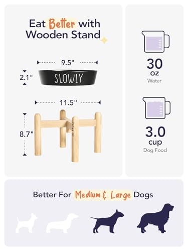LE TAUCI PET Ceramic Slow Feeder Dog Bowls Elevated, 3 Cups Raised Dog Bowl with Wooden Stand for Medium Large Breed to Slow Down Eating, Puzzle Food Bowl,Black - color: Black+Stand, size: L-3 Cups
