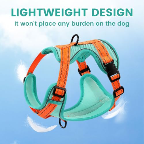 No-Pull Dog Harness with Dog Leash Breathable Mesh Adjustable Soft Padded Pet Vest Reflective for Small/Medium/Large Dogs Walking, Training - color: Blue, size: L