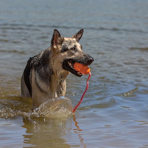 KONG Aqua Floating Fetch Toy - Dog Floating Toy for Water Retrieval, Play, Exercise & More - Natural Rubber Dog Toy with Foam Interior & Rope for Farther Throwing - Orange, for Large Dogs - size: Large (Pack of 1)
