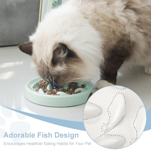 Slow Feeder Bowl for Cats and Small Dogs,Cilkus Fish Pool Design, Fun Interactive Bloat Stop Puzzle Feeder Bowl Healthy Eating Diet Made of Melamine Food Grade Material Dishwasher Safe (Green) - color: Green