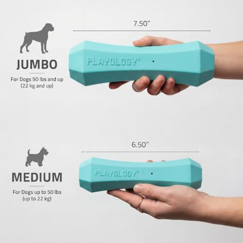 Playology Dog Toys | Squeaky Chew Stick for Large Dogs | Peanut Butter Scented Jumbo Fetch Toy | Squeaky Dog Chew Toy - size: Jumbo, style: Peanut Butter