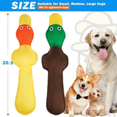 EXPAWLORER Floating Dog Water Pool Toys - 2 Pack Stuffed Duck Dog Toys Long, Pet Summer Essentials for Fetch & Training, Built-in Squeaky Ball Loud Sound for Small Medium Large Breeds, Yellow