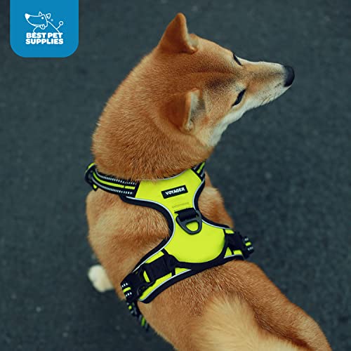 Voyager Dog Harness Dual Leash Attachment No-Pull Control Adjustable Soft but Strong Pet Harness for Medium and Large Dogs with 3M Reflective Technology, Turquoise Nylon, XS (Chest: 13-16") - color: Turquoise Nylon, size: XS (Chest: 13 - 16")