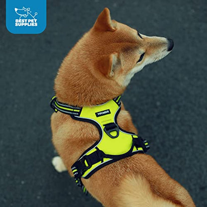 Voyager Dog Harness Dual Leash Attachment No-Pull Control Adjustable Soft but Strong Pet Harness for Medium and Large Dogs with 3M Reflective Technology, Turquoise Nylon, XS (Chest: 13-16") - color: Turquoise Nylon, size: XS (Chest: 13 - 16")