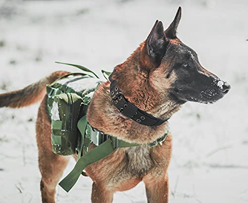 Tactical Dog Collar with Handle - Military Adjustable Dog Training Collar Soft Nylon and Heavy Duty Metal Buckle for Medium Large Dogs - with Patch (Green with Patch, Medium) - color: Green with Patch, size: Medium