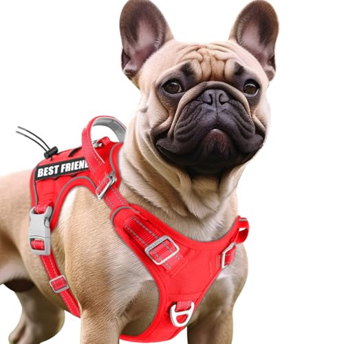 BARKBAY Service Dog Vest Tactical Dog Harness Medium Large Sized Dog No Pull Adjustable Dog Harness Reflective K9 Working Training Easy Control Military Molle System(Red,S) - color: Red, size: Small