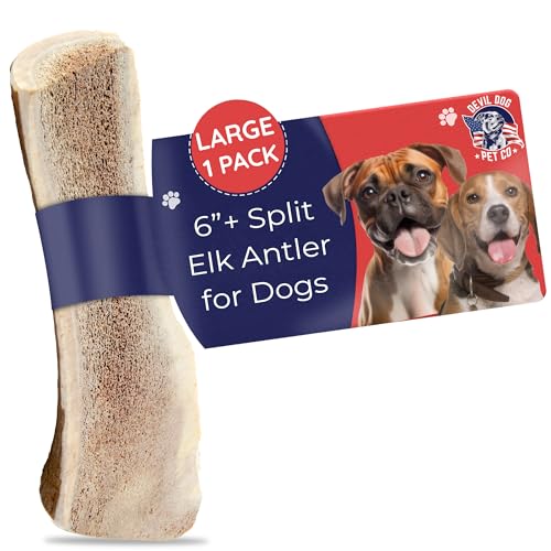 Devil Dog Pet Co. Split Elk Antlers for Dogs, Natural Dog Chew with Exposed Marrow - Long Lasting and Odor Free - USA Sourced - Cleaner Teeth, Anxiety & Boredom Relief - Large 6"+ - Antler Bone - style: split - Large - 1 Pack