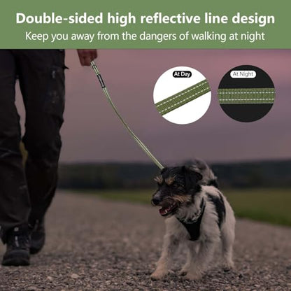 Reflective 6 FT Dog Leash, Premium Traditional Style Puppy Leash with Easy to Use Collar Hook for Small, Medium, and Large Breed Puppies (Green, 3/4 in x 6 ft) - color: Green, size: 3/4" x 6ft, 1 Handle