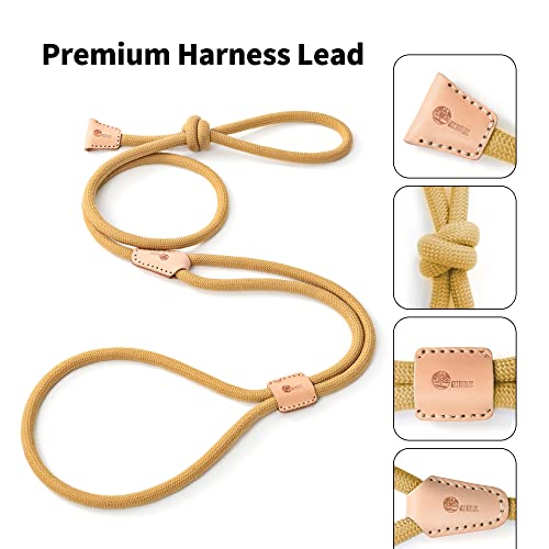 Mile High Life Harness Lead No Pull, All in one Dog Lead 2-in-1, Rope Leash and Harness Two in One, Slip Leash for Puppy Small Dogs Training, 4FT Yellow - color: 4 feet-Yellow