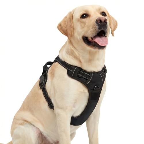 Funfox No Pull Dog Harness, Adjustable Pet Vest with Control Handle & Front Clip, Reflective Design for Small Medium Large XL Dogs, Black XL - color: Black, size: XL