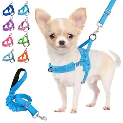 Lukovee No Pull Dog Harness and Leash Set, Soft Padded Small Dog Harness, Neck & Chest Adjustable Reflective Vest Puppy Harness with 4ft Lightweight Anti-Twist Dog Leash for Small Dogs (LBL, XS) - color: Light Blue, size: XS ( Chest 14'' ~ 18'')