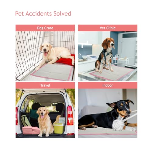 Pink Puppy Pee Pads, 400 Count - 22 x 22 Inch Dog Potty Training Pads, Leak-Proof Quick Absorb 6-Layer Design for Pet Pissing Weewee Training, Ideal for Puppies, Cats, Rabbits, and Guinea Pigs - size: Pink-400 Count