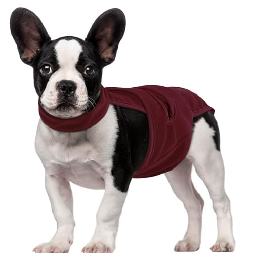 QBLEEV Female Dog Diapers with Adjustable Suspenders – Washable Sanitary Panties for Dogs in Heat or Incontinence, Escape-Proof Reusable Pet Period Underwear Onesie for Small to Large Breeds - color: WineRed, size: XS（Back Length:8.7"）