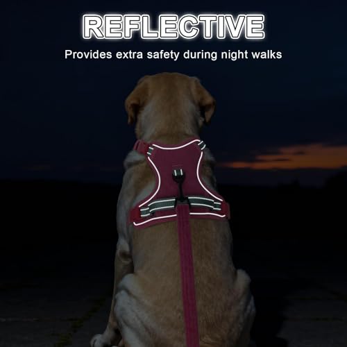 BEAUTYZOO No Pull Dog Harness Large, Adjustable Dog Harness and Leash Set -Easy Wearing with 3 Buckles/Control Handle,No Choke Soft Padded Reflective Pet Vest for Training Walking Hiking,Rose XL - color: Solid Rose, size: XL: chest 22"-44"