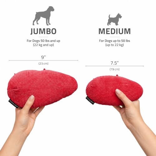 Playology Dog Toys | Plush Toy Crinkle Egg for Large Dogs | Beef Scented Jumbo Plush Chew Toy - size: Jumbo Egg, style: Beef