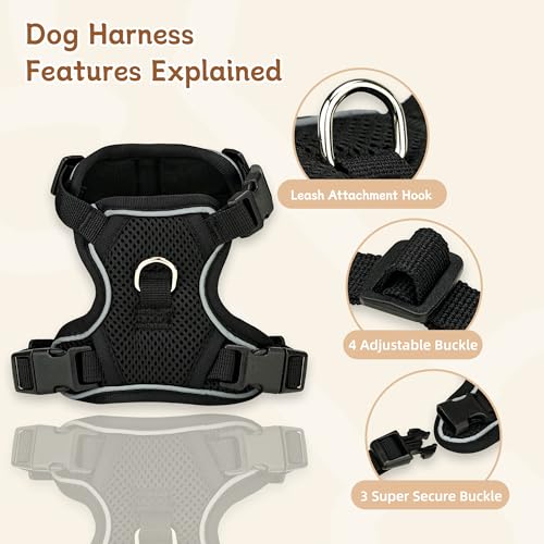 Small Dog Harness and Leash Set, Reflective Soft Breathable Mesh Vest, 3 Buckles, Adjustable Neck and Chest,Step in Dog Harness for Walking, Running, Training, Black, M - color: Black, size: Medium