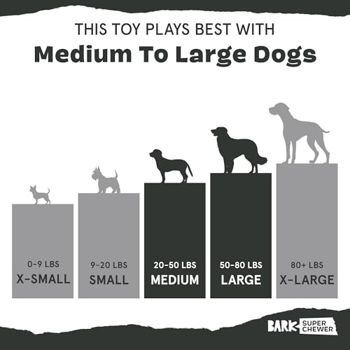 Barkbox Super Chewer Tough Dog Chew Toys for Aggressive Chewers, Plush 2 Toys in 1 (Hare Raiser - Large) - color: Hare - Large