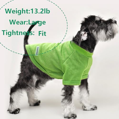 2 Pack Dog Shirt Stripe Dog Clothes for Small Dogs Puppy Clothes Cute Soft Puppy Clothes Bresthable Chihuahua Cat Clothes XS~XXL Pet Clothing (Large) - color: green, size: Large
