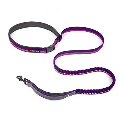 Tuff Pupper Hands Free Bungee Dog Leash | Lightweight for Running Jogging Walking | Adjustable Padded Waist Belt (24-50 inch) | Bungee Stretch 3 to 6 Feet | Strong Ballistic Nylon w/Reflective Strips - color: Punch Purple