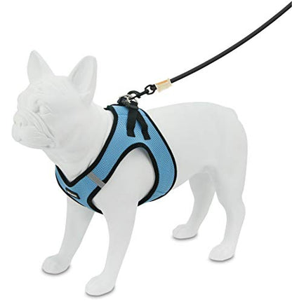 Best Pet Supplies - All Weather Mesh / Plush, Reflective, No Pull Harness for Small, Medium Dogs, Cats - Secure with Hook & Loop Fastener, Buckle, Double D-Rings - Baby Blue/Black Trim, L - color: Harness (Baby Blue/Black Trim), size: L (Chest: 18 - 20.5"