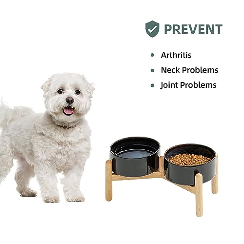 Havniva 6.1inch Ceramic Raised Dog Bowl with Stand, Double Dog Bowls Elevated for Small and Medium Breed Dog Food and Water Bowl Set Non-Slip Dog Dish Large Capacity Feeding Pet Water Bowl - color: 2 Bowls+Stand - Starry Sky, size: 6.1inch