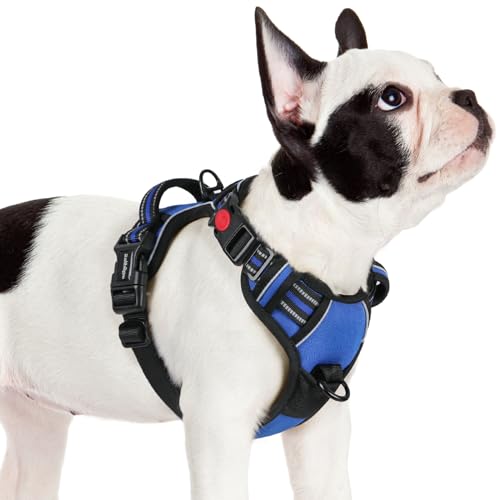 rabbitgoo Dog Harness Small Sized, No Pull Easy On & Off with 3 Buckles Pet Harness, Adjustable Soft Walking Vest with 2 Clips and Handle, Reflective for Small Dogs, Blue, S - color: Blue, size: Small