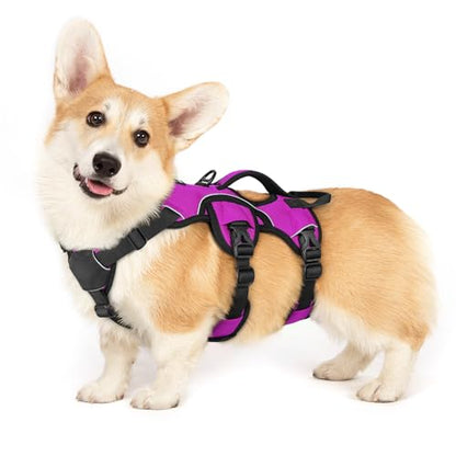 rabbitgoo Escape Proof Dog Harness, Soft Padded Full Body Pet Harness, Reflective Adjustable No Pull Vest with Lift Handle and Lesh Clip for Large Dogs Walking Hiking Training, S, Purple - color: Purple, size: Small (Pack of 1)