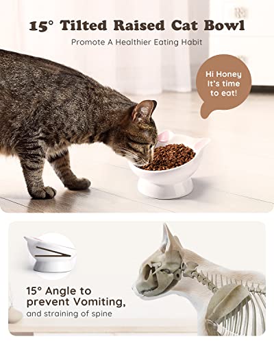 Raised Cat Food Bowl Ceramic 15° Tilted Cat Food Bowls Protect Cat's Spine Anti Vomiting Backflow Prevention Bowls for Adult Kitty, Kitten, and Small Dogs, Pink - color: Pink Ears