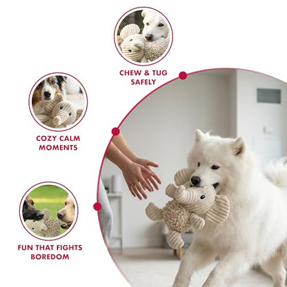petlou Durable Natural Nubby Plush Dog Toys with Squeaker and Crinkle Paper in Multi-Size (Natural Elephant - M, 10 Inch)