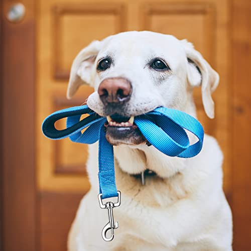 6 Pieces Dog Leash Bulk for Medium and Large Dog, Heavy Duty Nylon Pack Dogs Leashes Padded Handle Double Sided Reflective Puppy Collar for Walking, Training, 5 Feet(Classic)