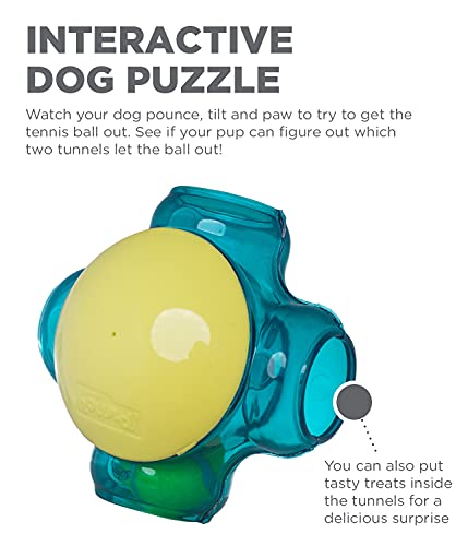 Outward Hound Tennis Maze Craze Interactive Squeaky Dog Toy, Blue - color: Blue Tennis Maze Craze, size: One-Size, style: Single