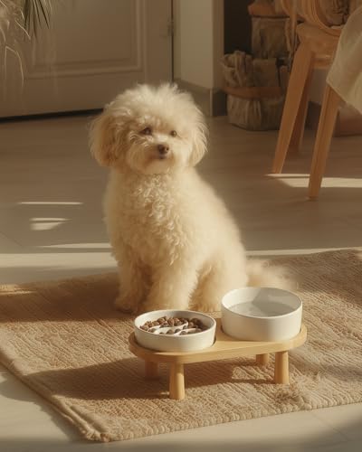 Ceramic Slow Feeder and Water Bowl Set for Small Dogs, 0.6 Cups Dog Slow Feeder(14oz) and 30oz Water Bowl Set, 6in, White - color: White, size: 6-Inch