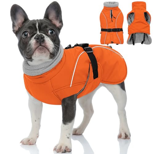 Queenmore Winter Dog Coat Warm Dog Jacket Vest Waterproof Puffer Fleece Snowsuit Adjustable Buckle Leash Hole Reflective Cold Weather Parka for Small Medium Large Dogs Girl Boy Orange M - color: Orange, size: Medium