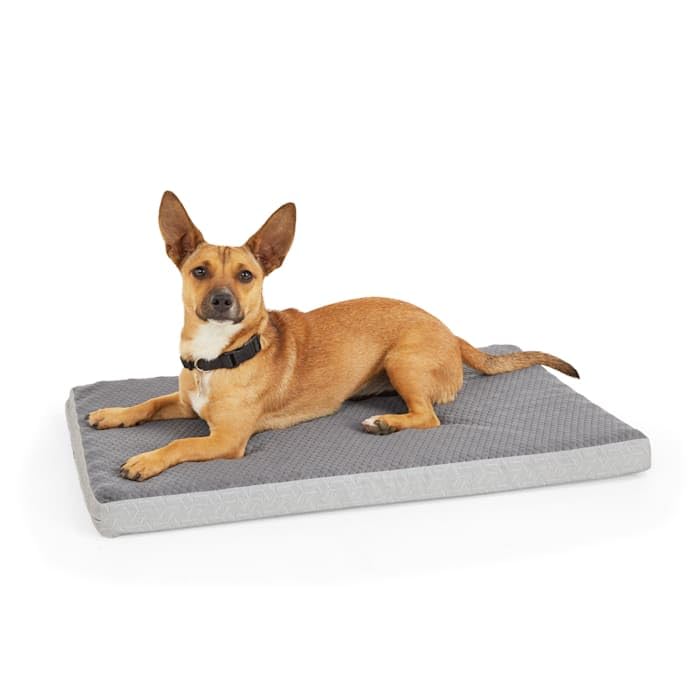 EveryYay by Petco Grey Cool Orthopedic Dog Crate Mat 30" L X 19" W X 2" H - size: Medium